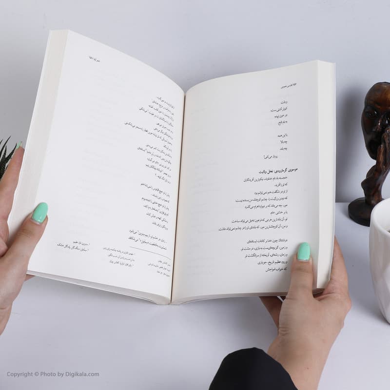 کتاب فارسی عمومی، درسنامه دانشگاهی اثر محمود فتوحی انتشارات سخن — تصویر 2