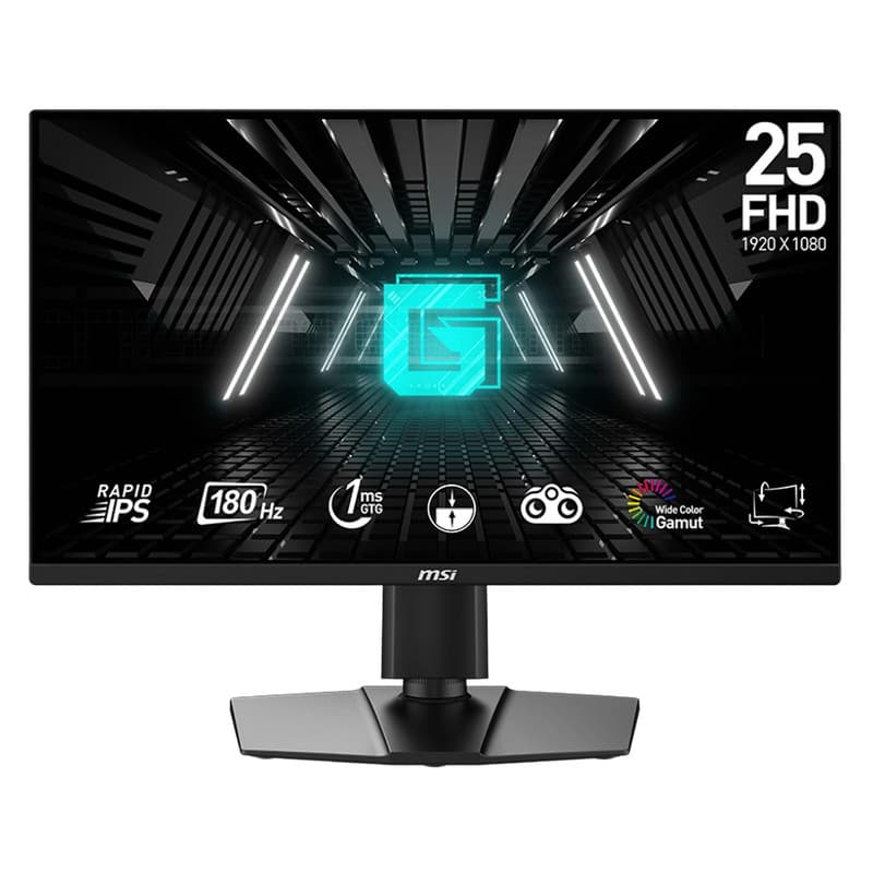 مانیتور ام اس آی مدل G255PF E2 سایز 24.5 اینچ — تصویر 3