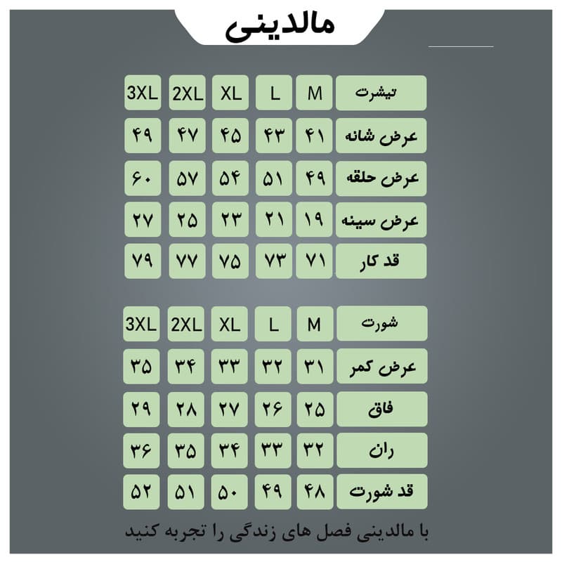 ست تی شرت آستین کوتاه و شلوارک ورزشی مردانه مدل 005 — تصویر 4