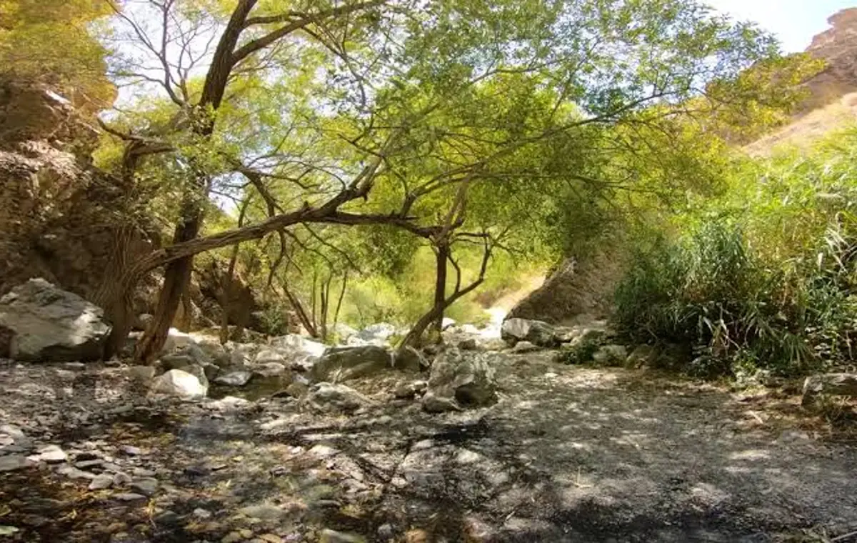 ۲۳. جاهای دیدنی دارآباد